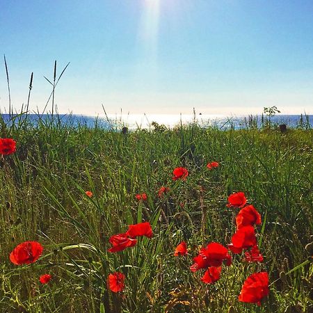 Strandresort Prora - Wg 114 Mit Meerblick Binz Bagian luar foto